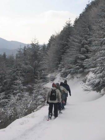 Ciapolata vero il Rifugio I Diacci (Palazzuolo sul Senio - FI)